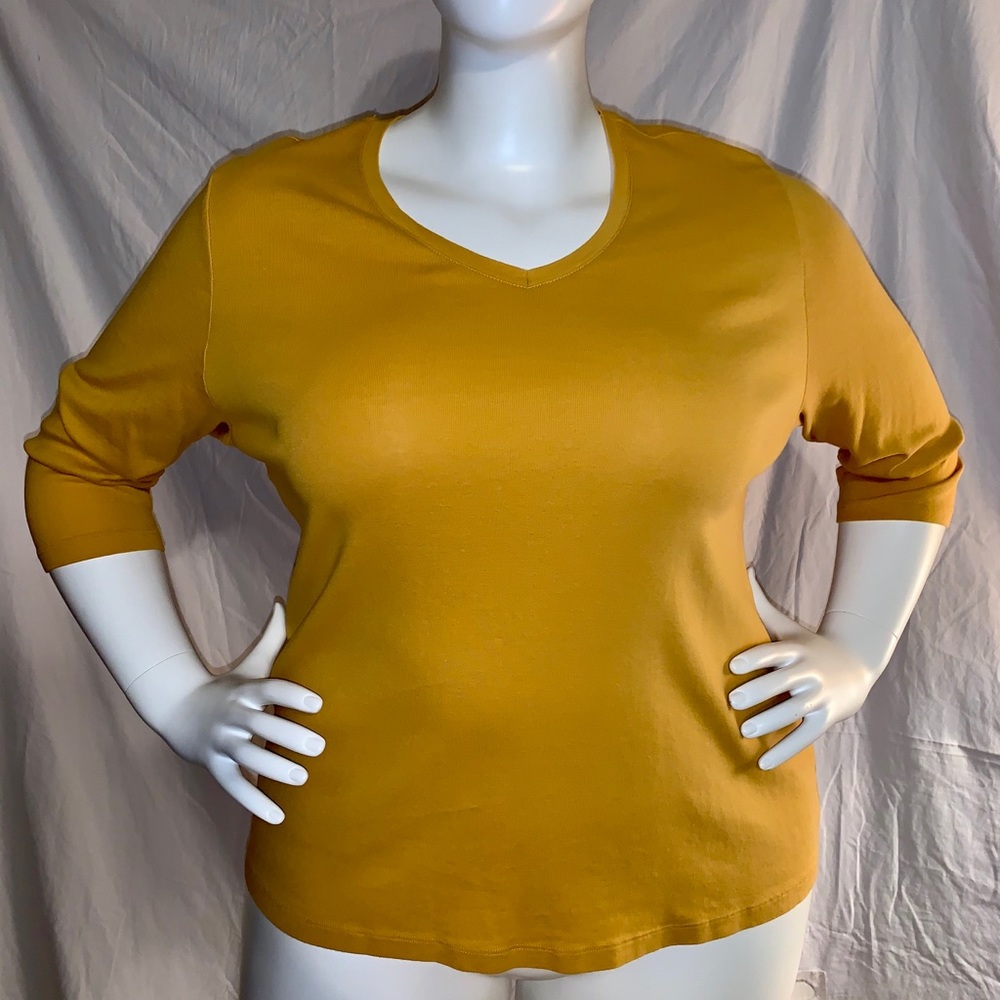 Saint Johns Bay gold V-neck top 3X